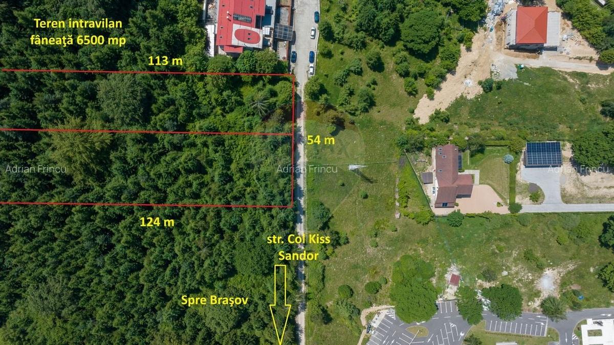 Teren intravilan, 6500 mp, Dambu Morii - 6