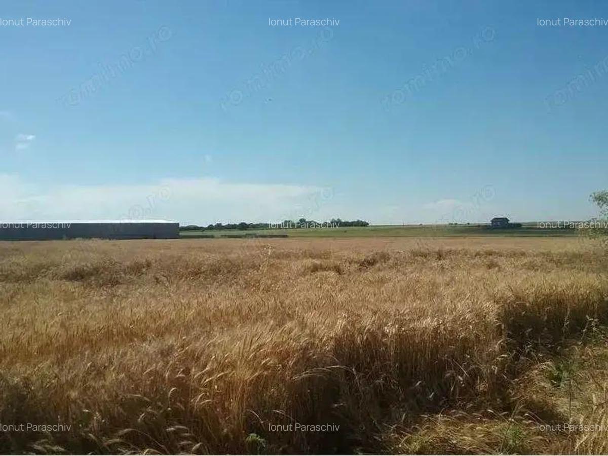 Teren extravilan 2.000 mp Techirghiol, jud. Constanta - 2