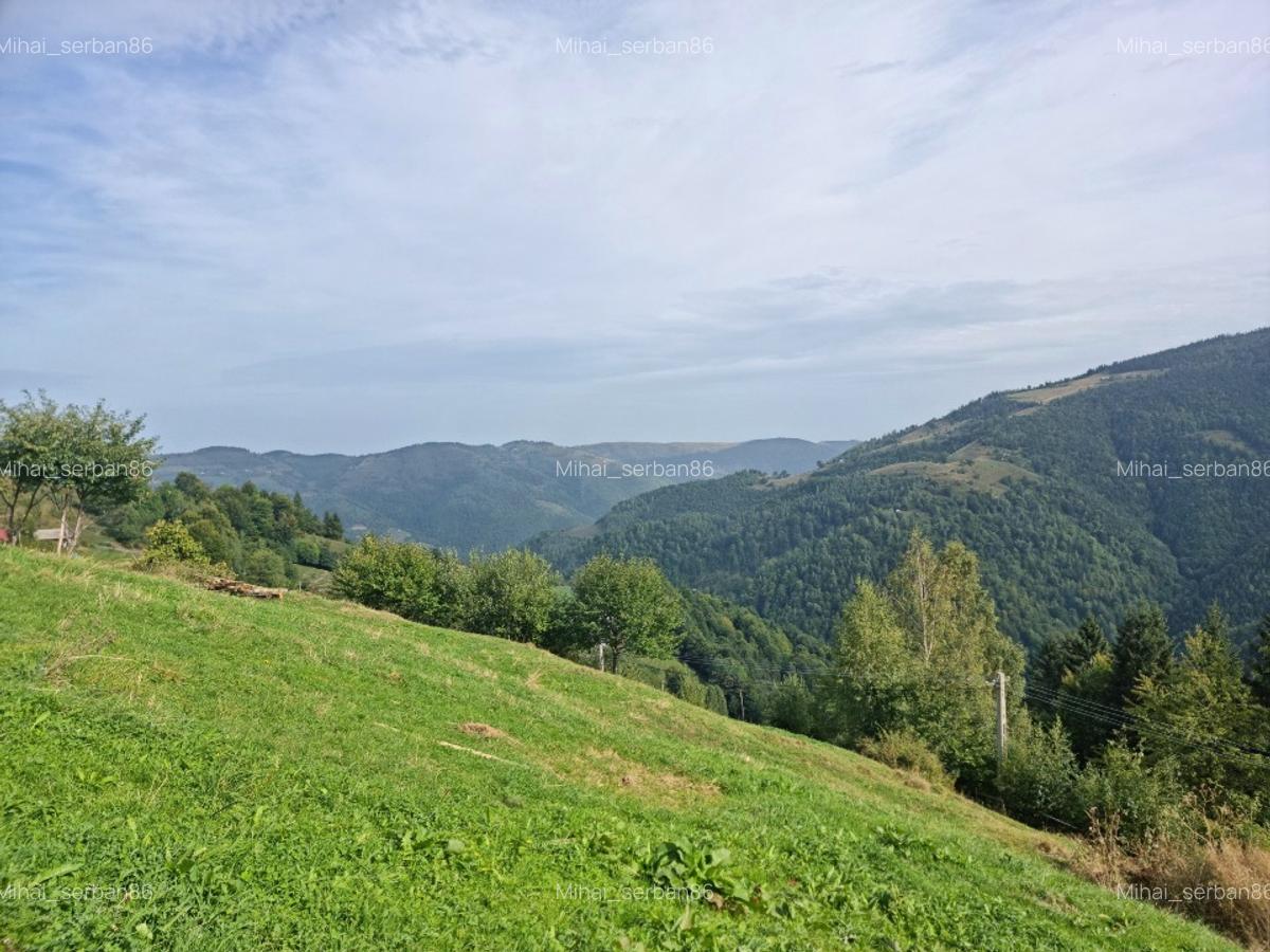 Vand teren la munte pentru cabana - 4