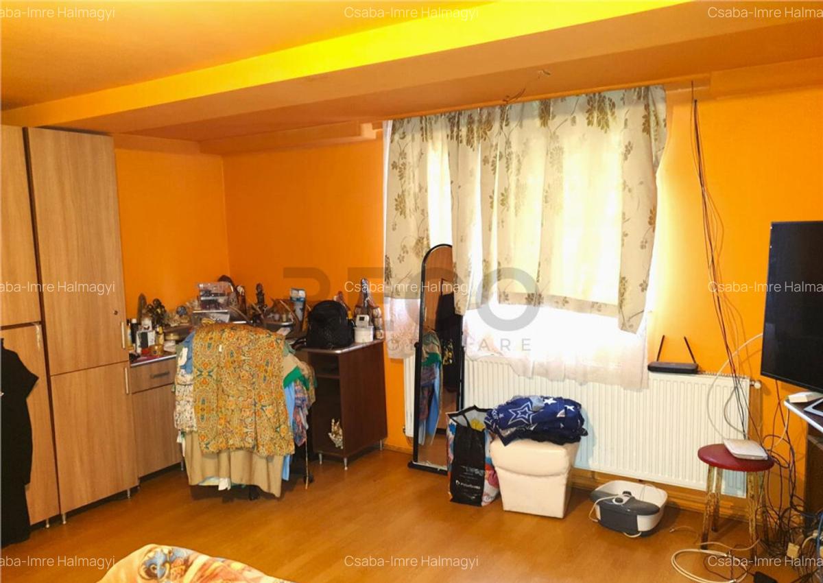 Teren Mare cu 2 case in Biharia. - 23
