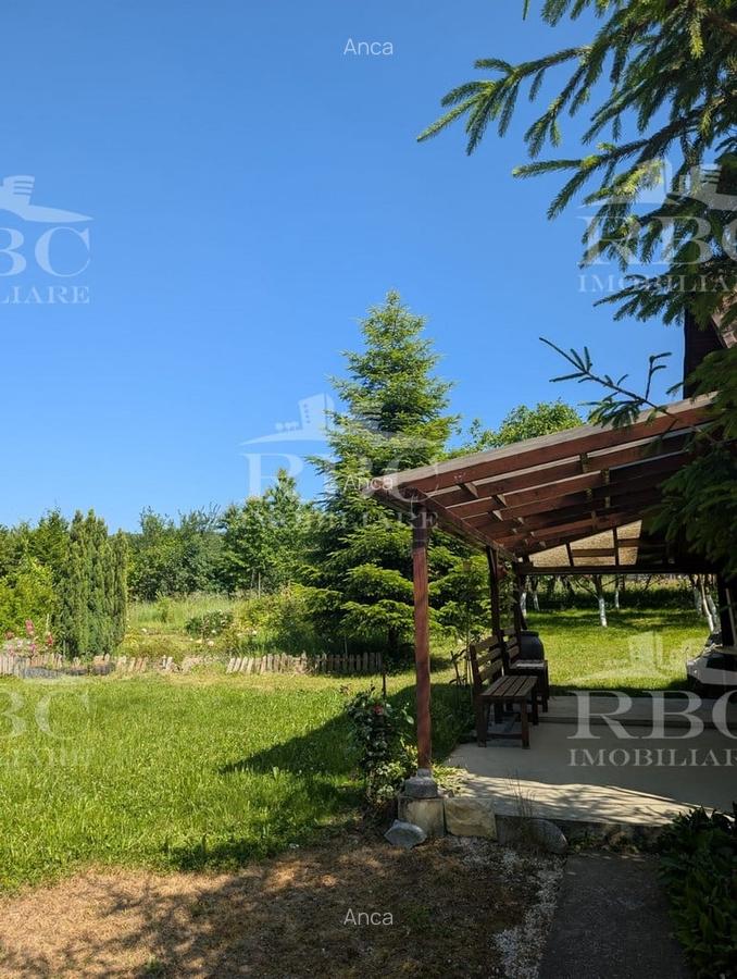 Teren pentru constructie casa in Faget - 8