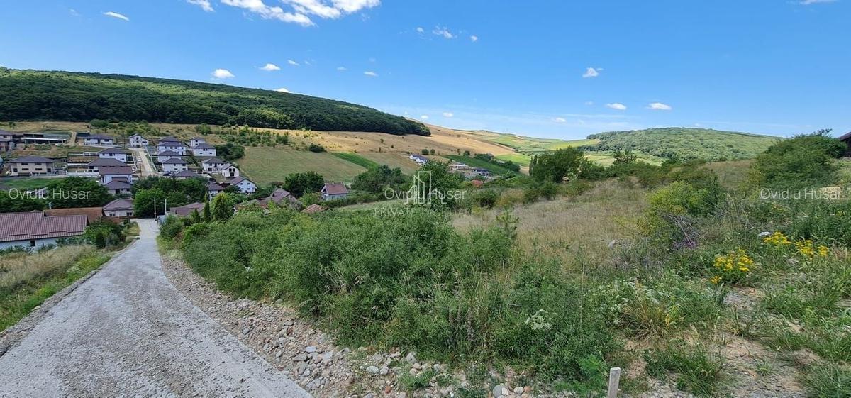 Teren 1 598 Mp De Vanzare, Panorama Superbă, Str Livezi, Sancrai - 5