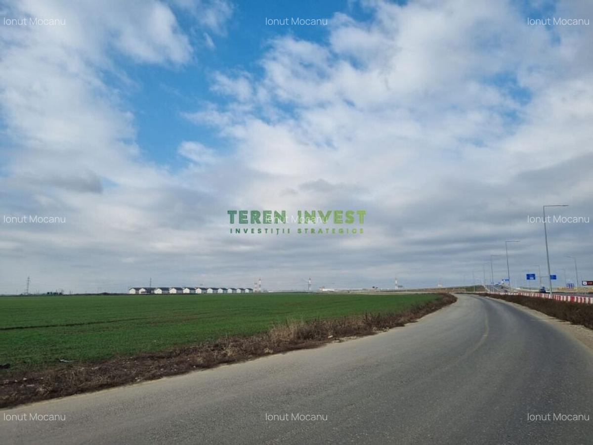TEREN INDUSTRIAL 8000 MP  LA DN4, ACCES DIRECT! - 1