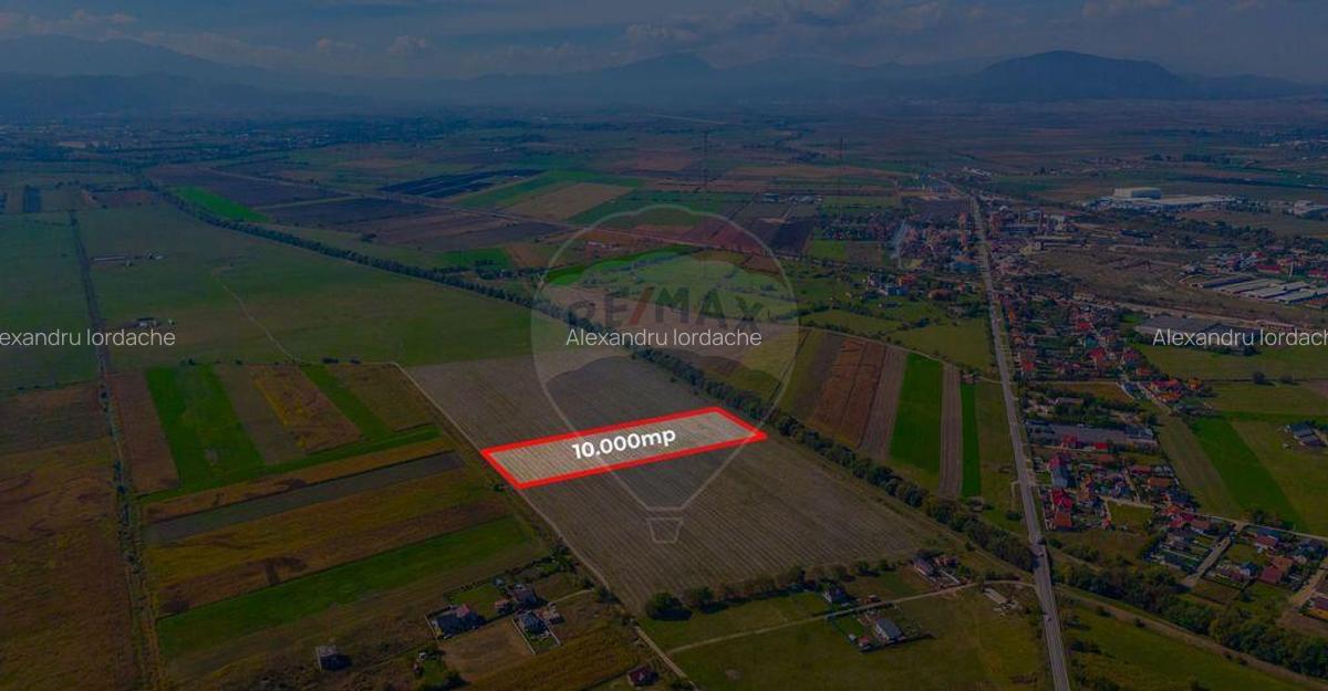 Teren 10,000mp Bod/Extravilan - 6