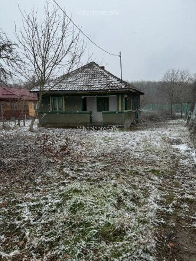 Vând teren intravilan Snagov - 1