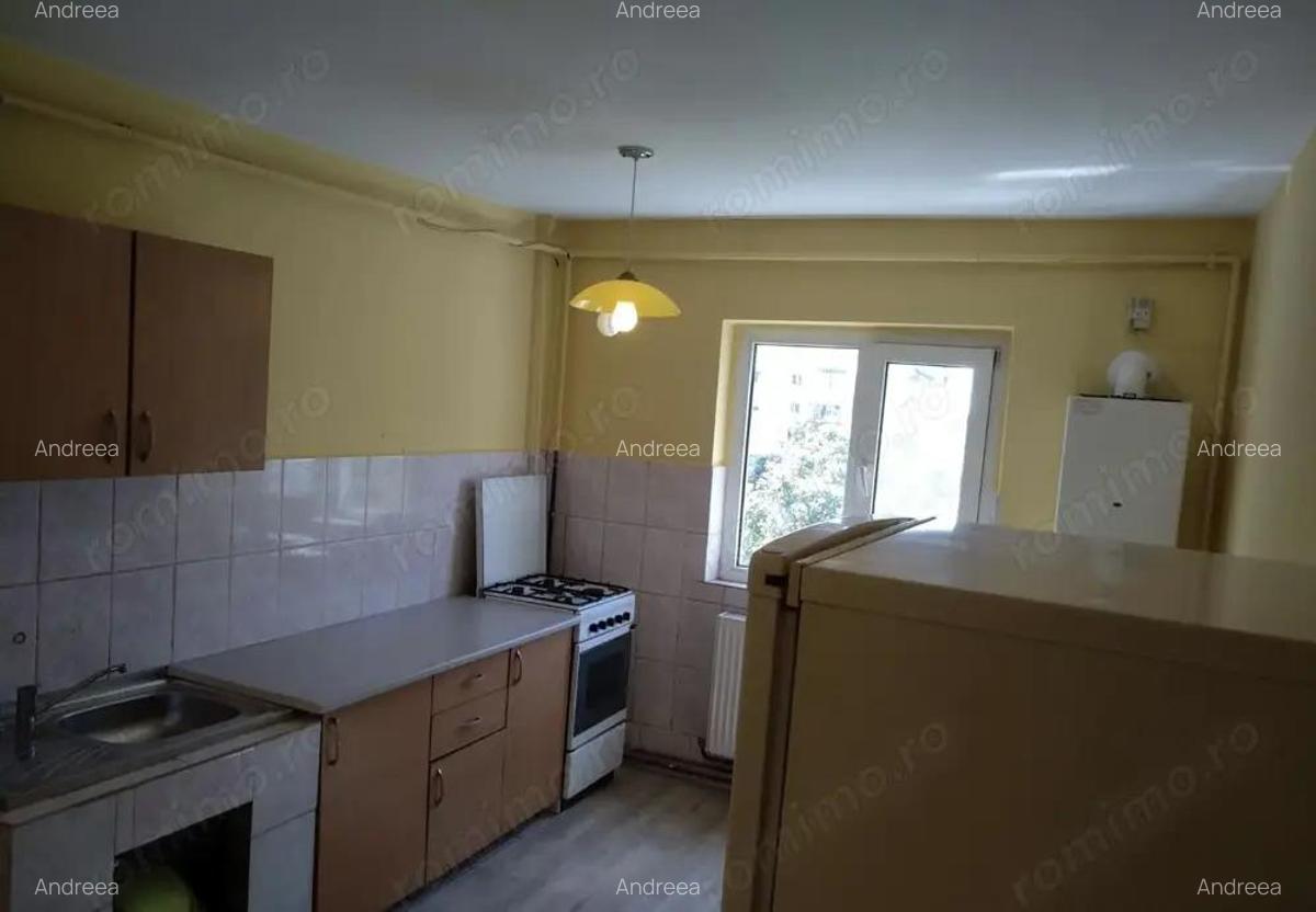 Apartament 2 camere centrala proprie Zona Sagului Ana Ipatescu - 6