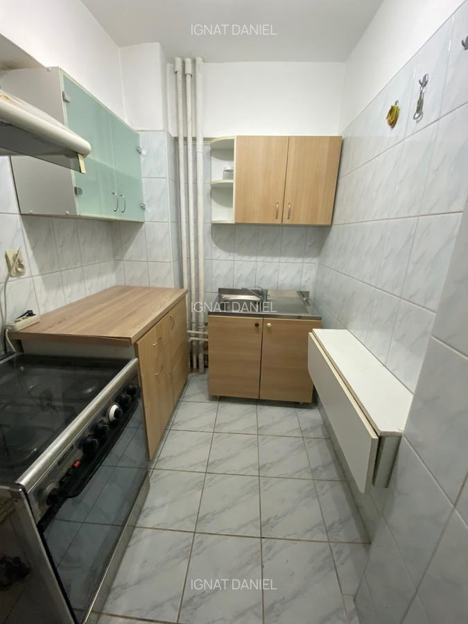 Apartament cu 1 camera, PET FRIENDLY, zona Centru-Palas Mall - 2