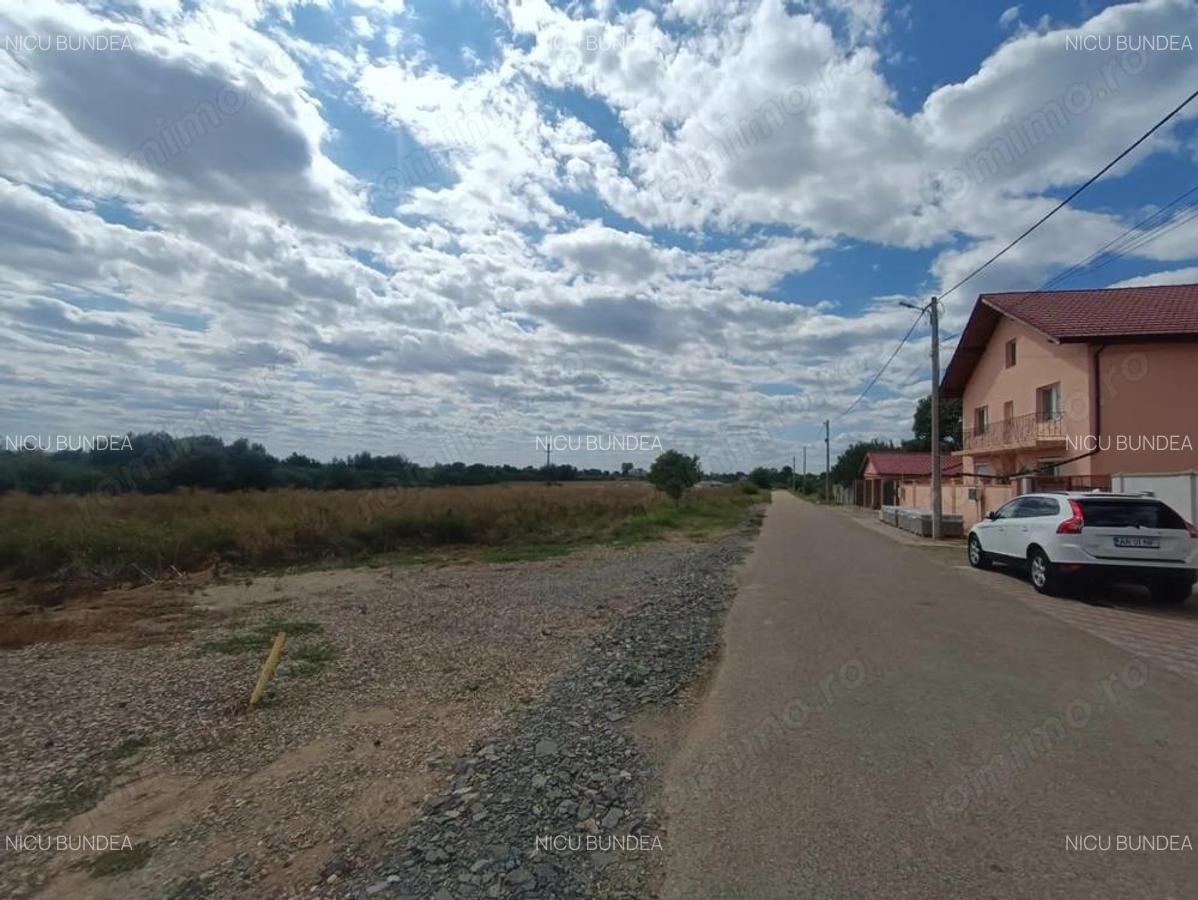 Descopera o oportunitate rara: Teren intravilan- 2.000 mp in Zadareni - 3