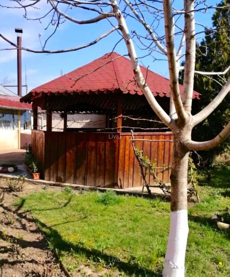 Casa spa?ioasa in Pogoanele, jude?ul Buzau - 7