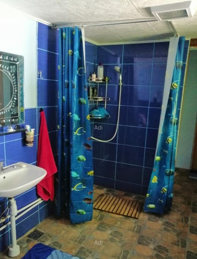 Doriți aer curat liniște vă ofer o casă frumoasă - 9