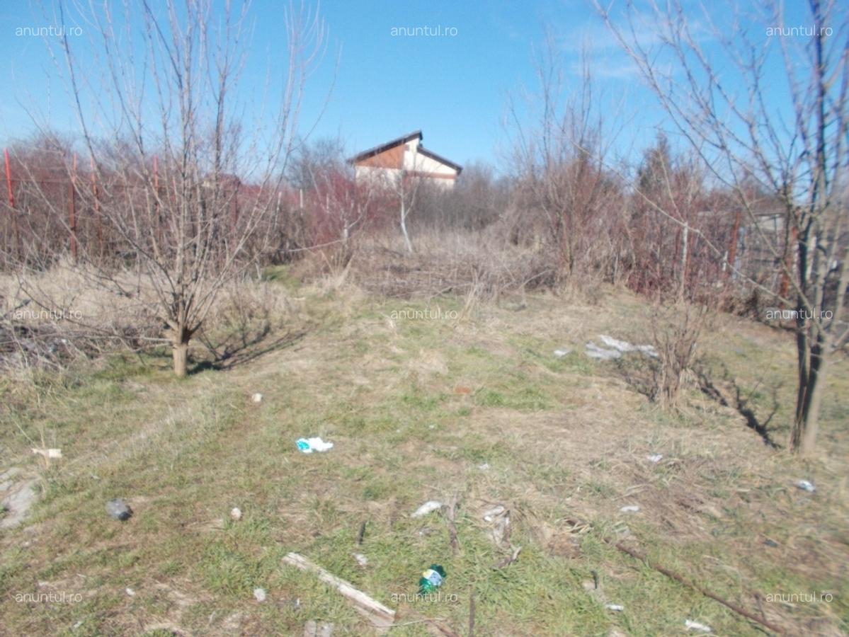 Vanzare Casa 4 Camere Clinceni - 6