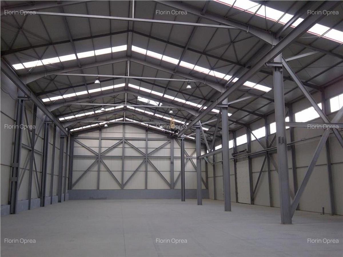 Spatiu Industrial - 425 mp - Logistica - Depozitare - Distributie - 1