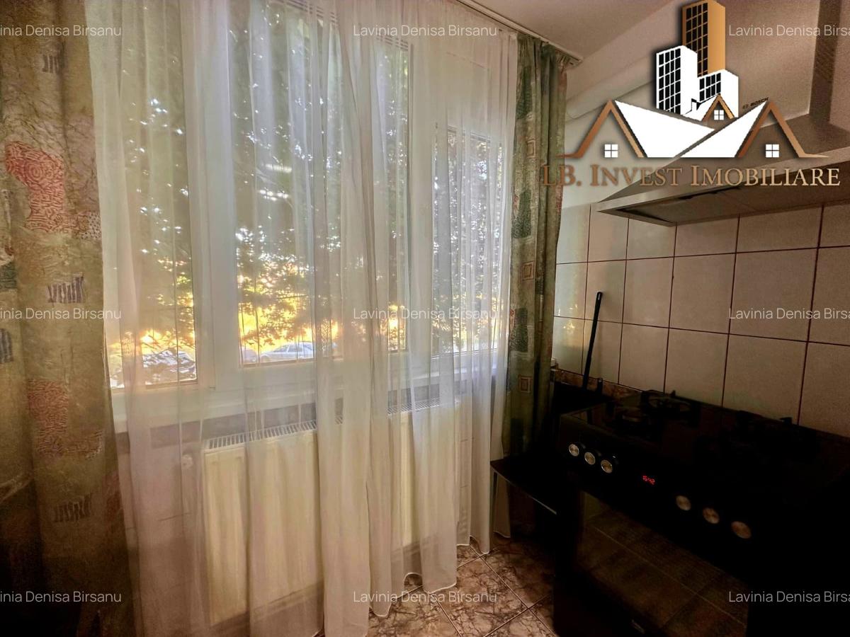 Apartament cu 2 camere-zona Lipovei-etaj1 - 8