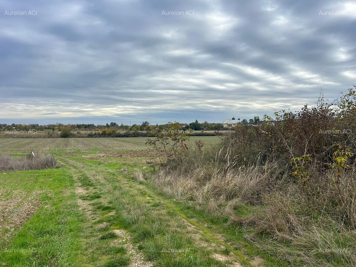 Ciolpani,Sat Piscu,Str Campului, muzeu Atelier Piscu, Teren intravilan - 6