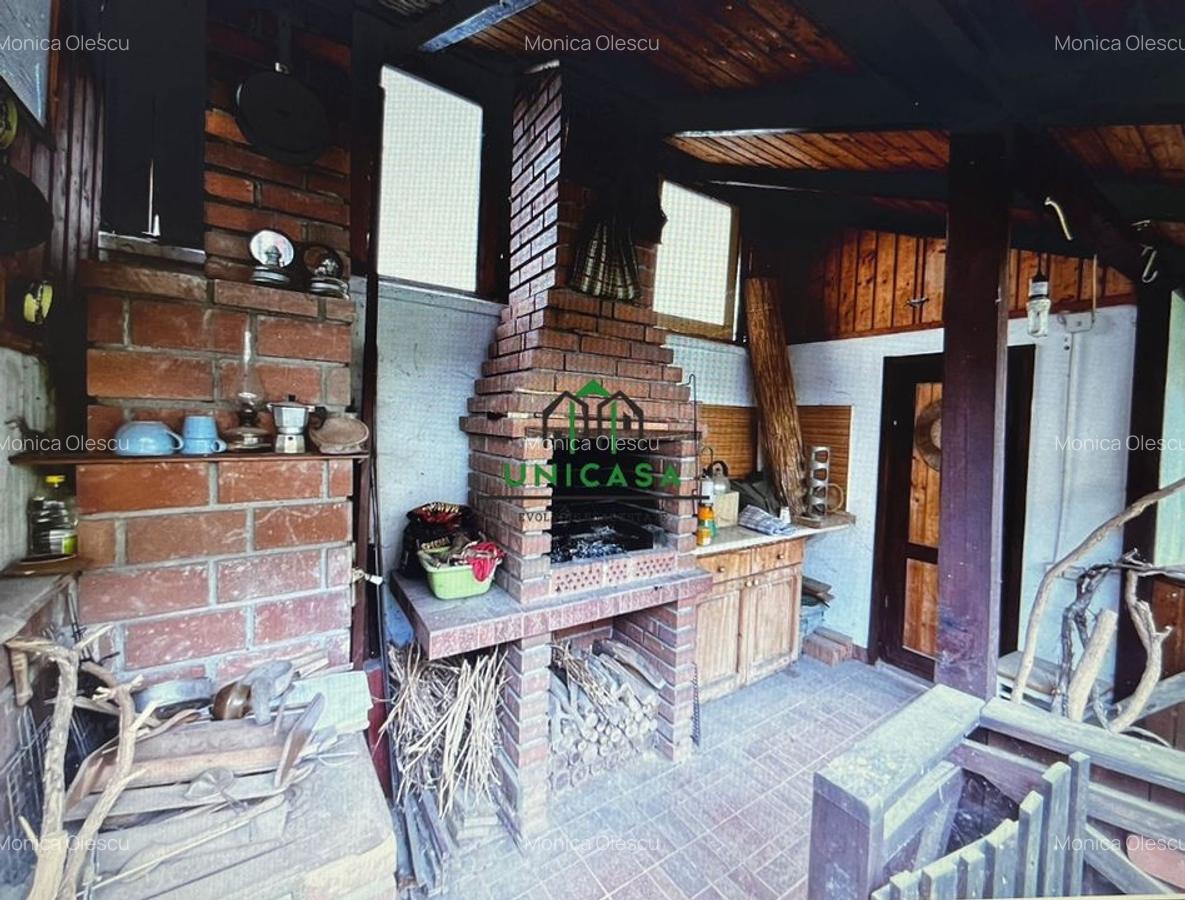 Casa Vladesti/4 camere - 12