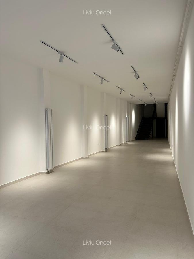Spatiu Comercial Cuza Voda - 3