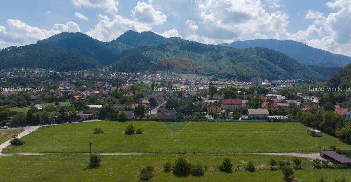 Lot de casa intrare Sacele -Strada Iernii, 514mp - 3