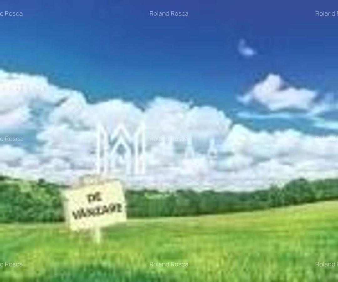 Teren | Extravilan | 5146 MP | Selimbar - 3