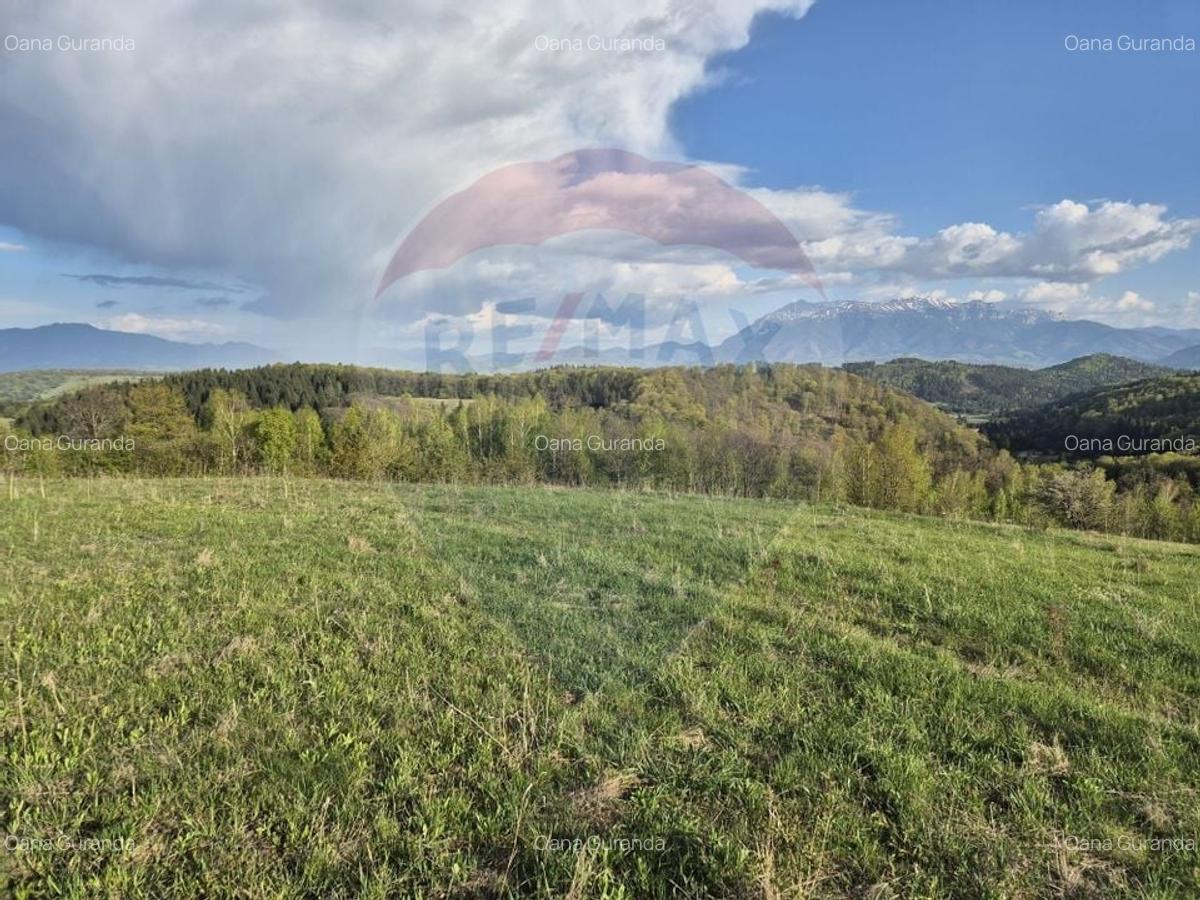 Teren Construcții intravilan de 11600 mp, în Poiana Mărului - 17