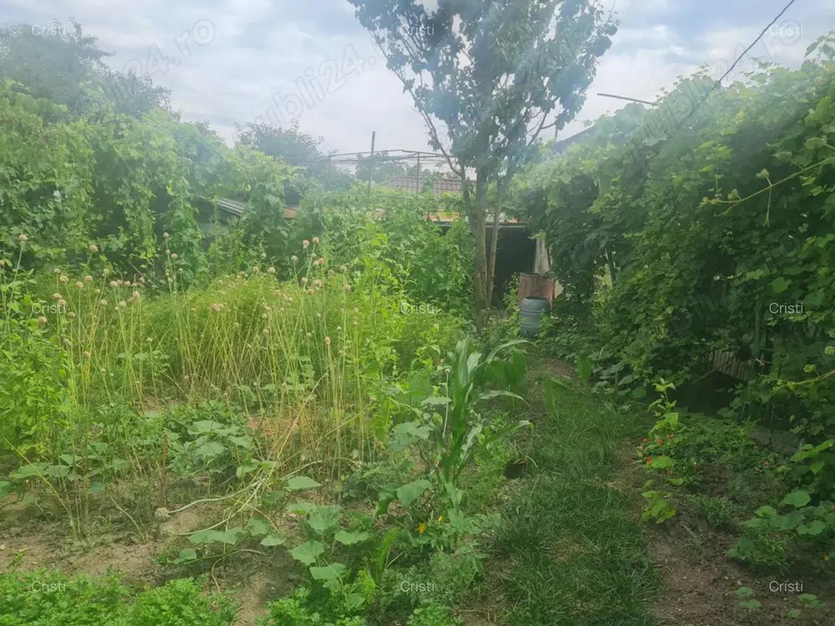 Casa de vanzare Cartier CFR - 6