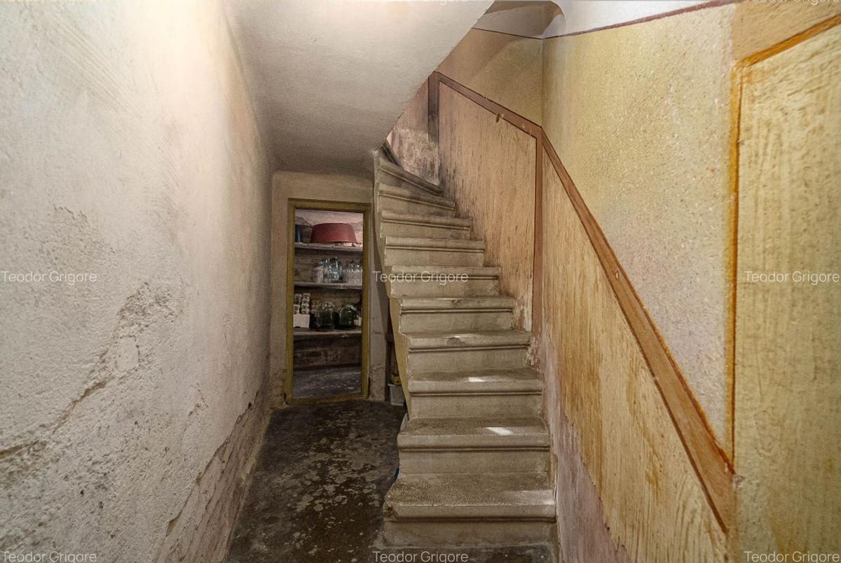 FERDINAND - Oborul Nou | Casa individuala 276mp teren| Renovare facila - 23