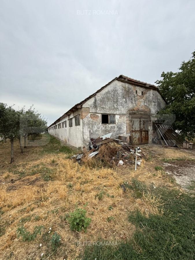 Ferma de Vanzare in judetul Timis, la nord est de Timisoara, 10ha 6 hambare - 8