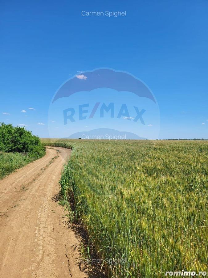 Teren intravilan 36500 mp Ciolpani, f.s 105 ml. - 2