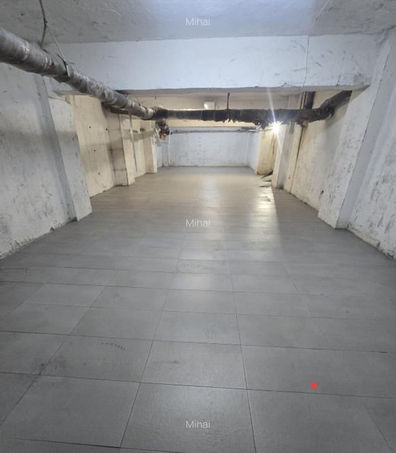 Vand Hala Depozit Suprafața 190 mp proprietar p.f. calea aradului 40 - 2