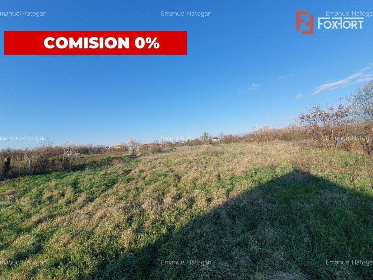 COMISION 0% Casa individuala cu teren de 3930 mp - Padureni - 6