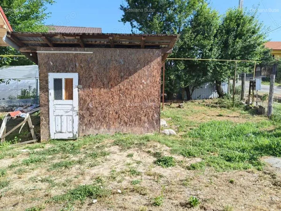 Casa P+M la gri de vanzare Rasova, comuna Bale?ti - 9