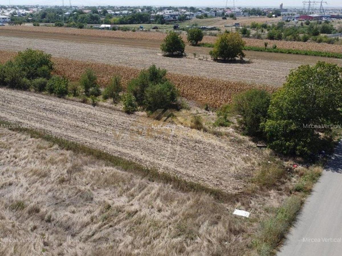 Teren intravilan in RATE la intrare in comuna Berceni - 3