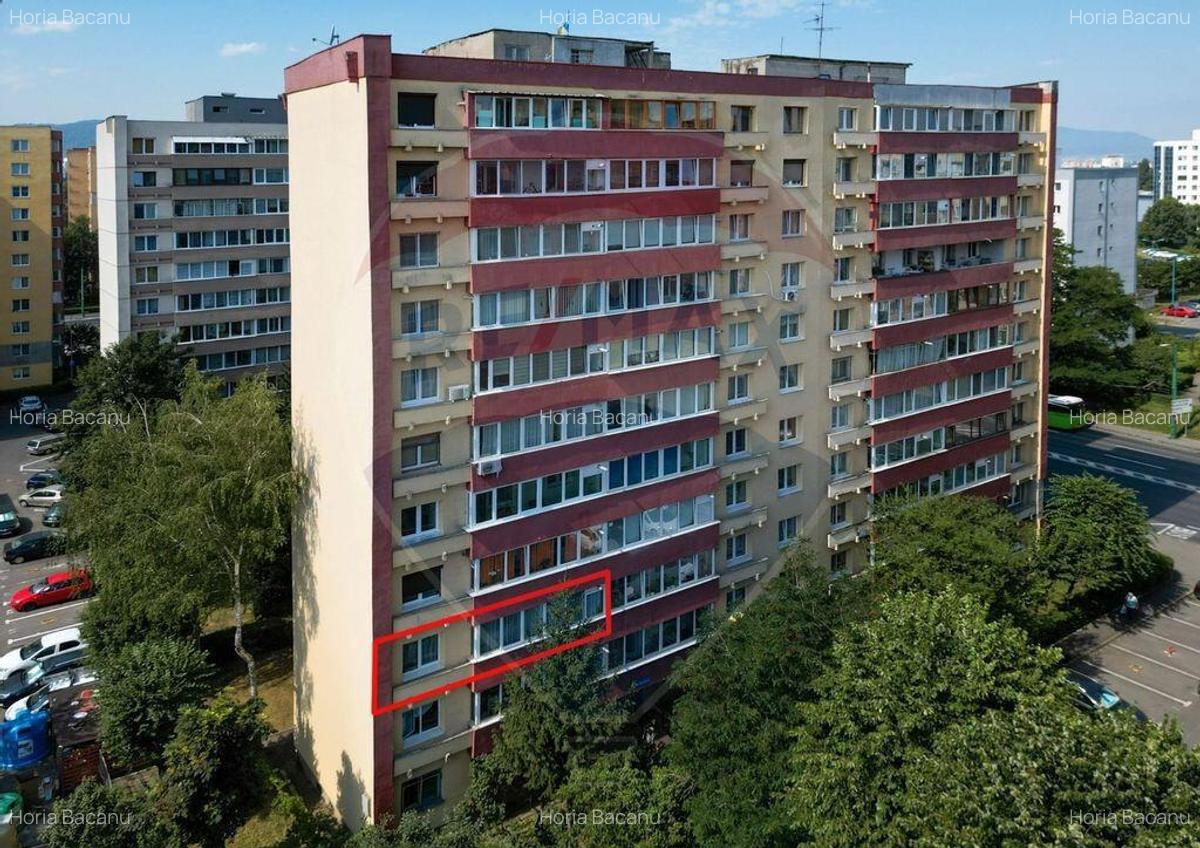 Apartament cu 2 camere de vanzare in zona Triaj - 14
