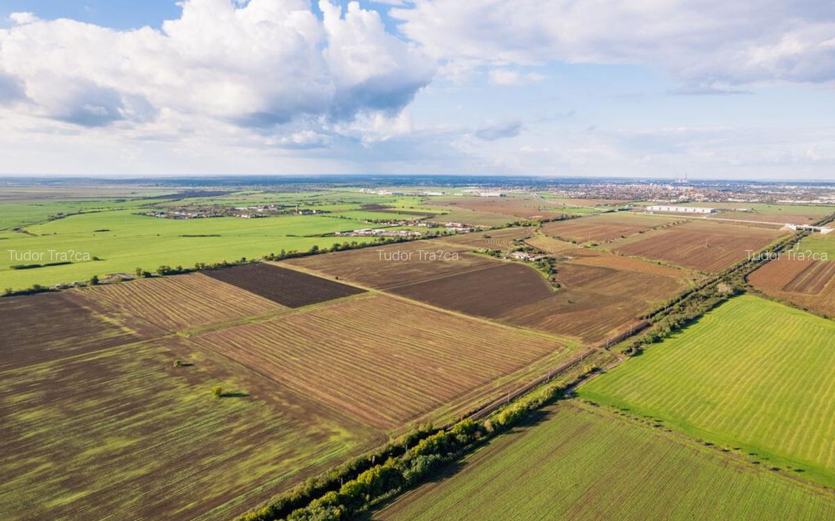 Teren de 100000 mp in Arad - 4 Teren de 100000 mp in Arad - 4