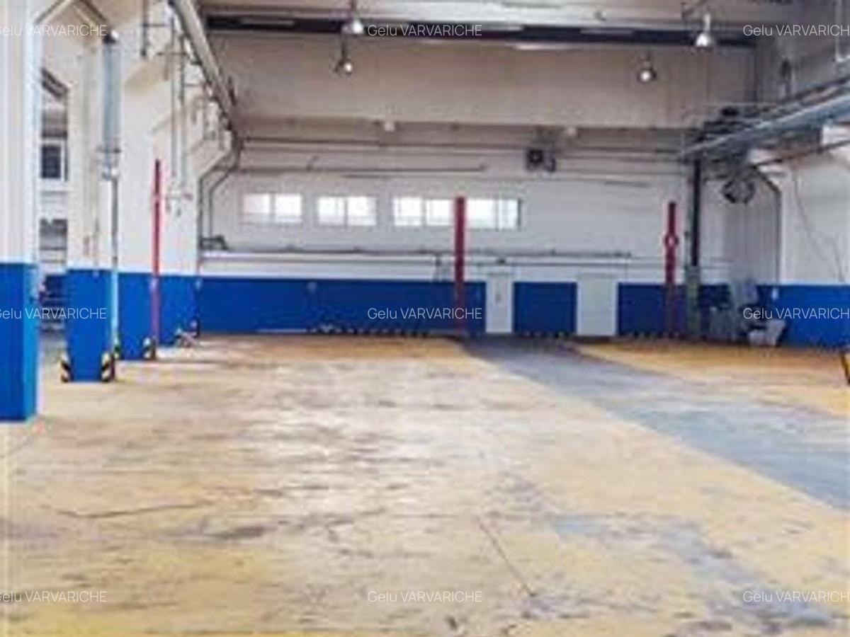 Hale in parcul Roman sau tractorul - 1