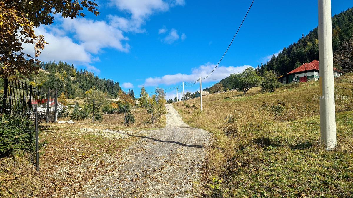 TEREN INTRAVILAN-EXTRAVILAN SPECTACULOS LANGA RESORTUL CHEILE GRADISTEI -FUNDATA - 3 TEREN INTRAVILAN-EXTRAVILAN SPECTACULOS LANGA RESORTUL CHEILE GRADISTEI -FUNDATA - 3