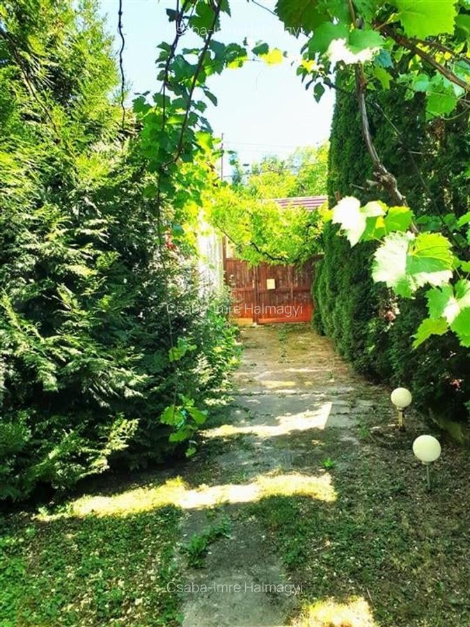Casă individuală cu 2 camere în Ginta - 4