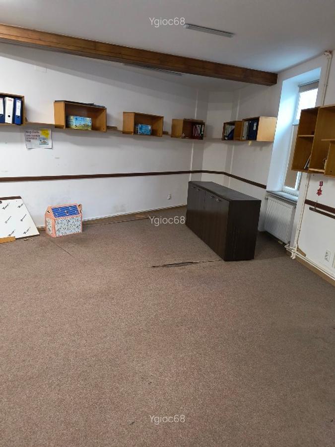 Vila zona Știrbei Vodă Cișmigiu - 5