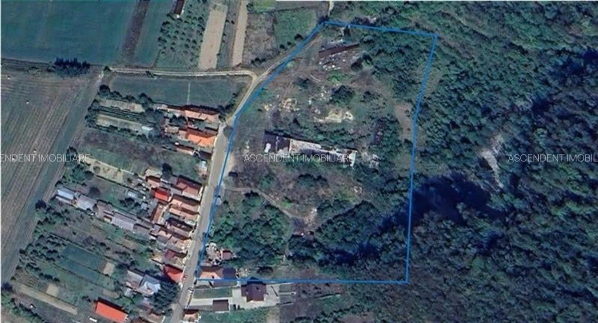 Amplasament de 13.500 mp:oportunitate  unitate de prelucrare terena, Viforoasa, - 1