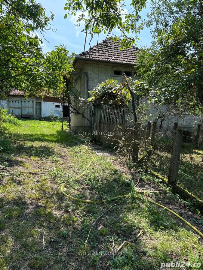 Casa de vanzare in localitatea Vicea - 4