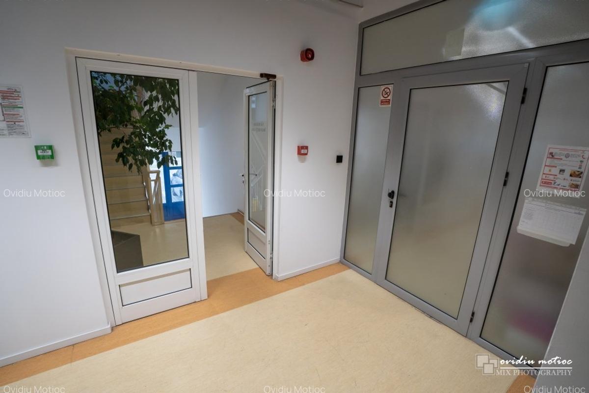 Spatiu productie sau depozit, Parcul Tetarom - 6