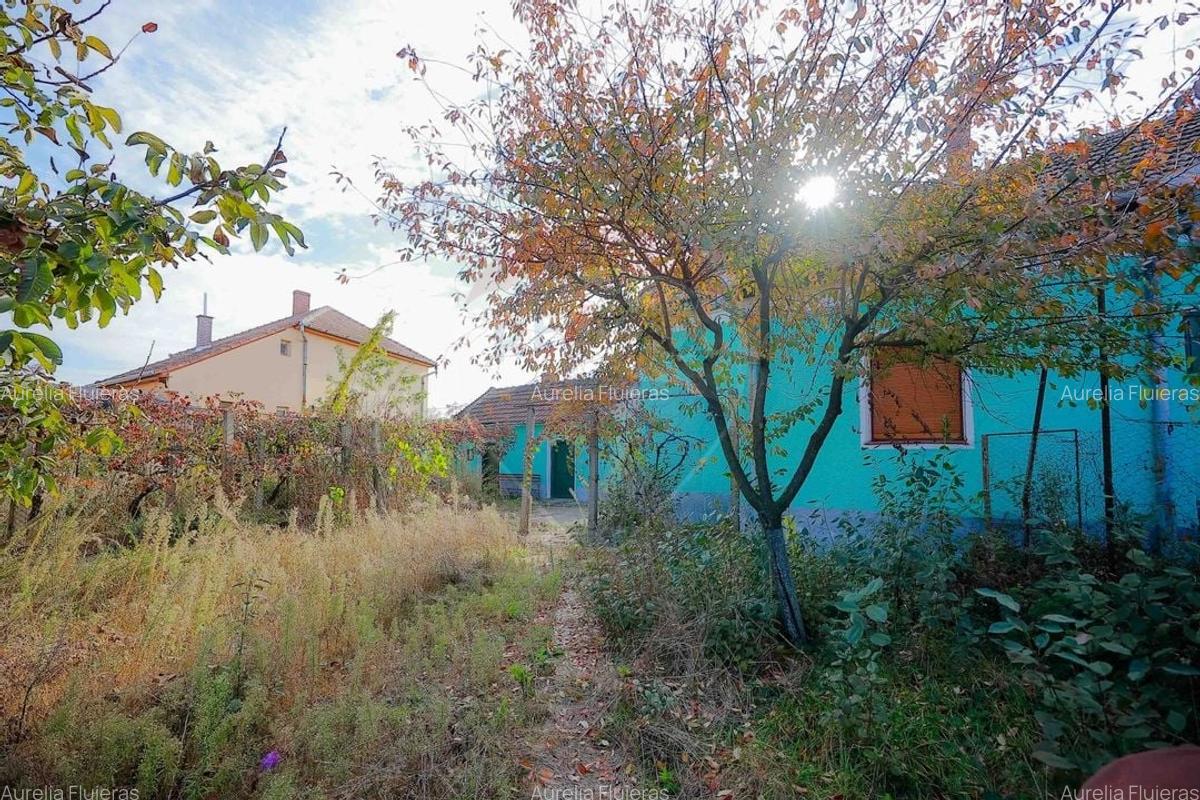 De vanzare casa cu teren de 3036 mp in Bors - 13