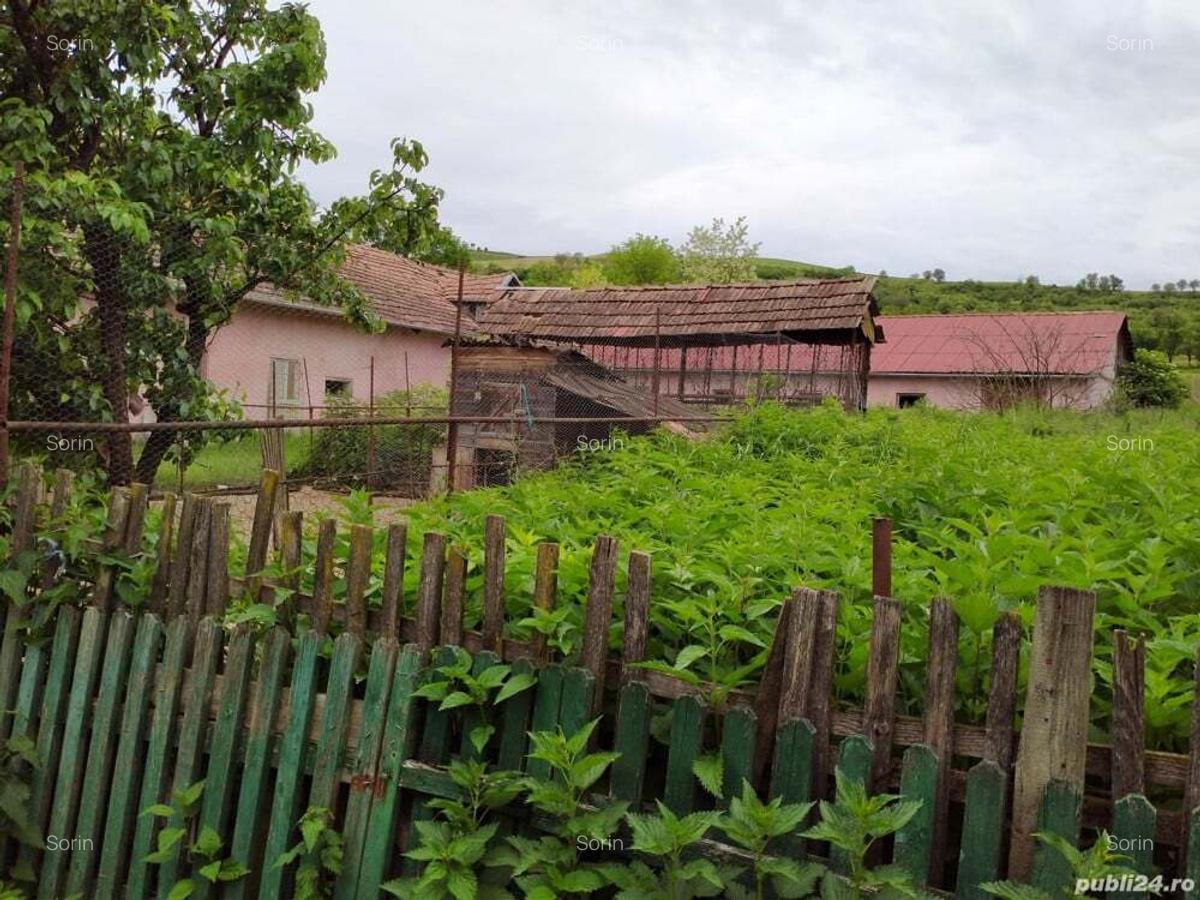 Casa cu 5 camere, 176 mp, teren 83 ari, pod betonat, 2 cladiri anexe - 4