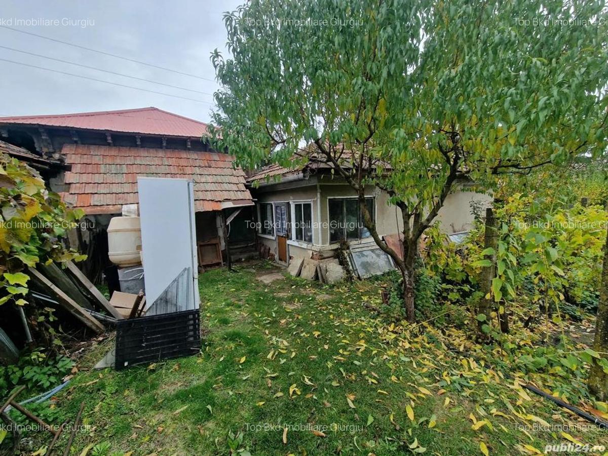 Casa +Teren1300mp[livada+vie] Sat Izvoru Giurgiu - 5