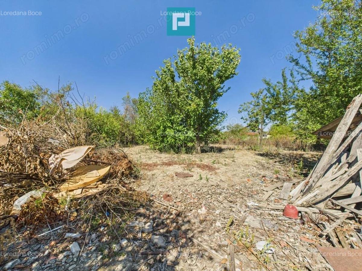 Casa ?i teren in Moravi?a, Timi?-pozi?ie excelenta - 7