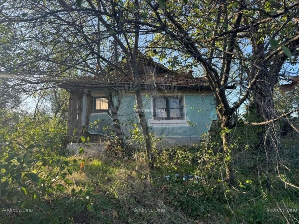 TEREN CEPTURA DE JOS // INTRAVILAN // - 1