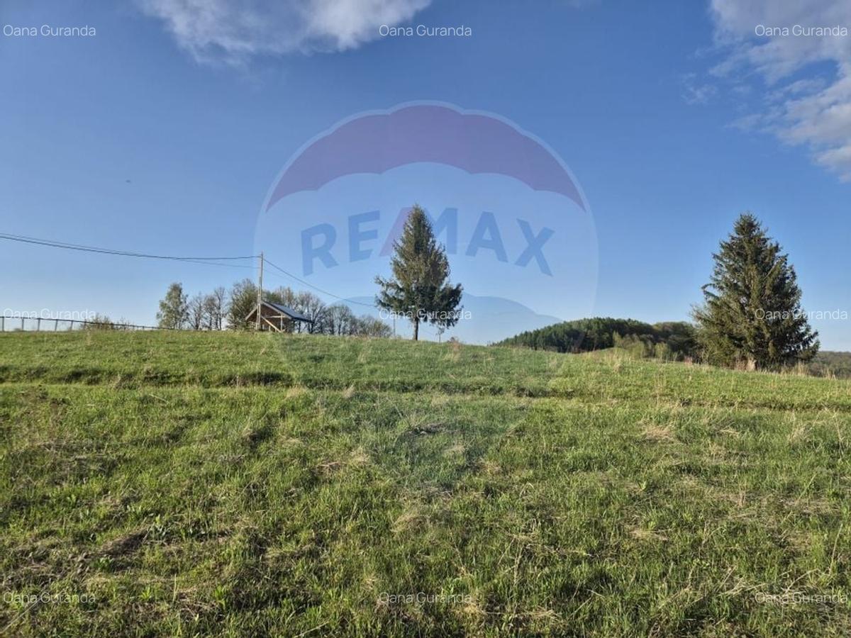 Teren Construcții intravilan de 11600 mp, în Poiana Mărului - 16