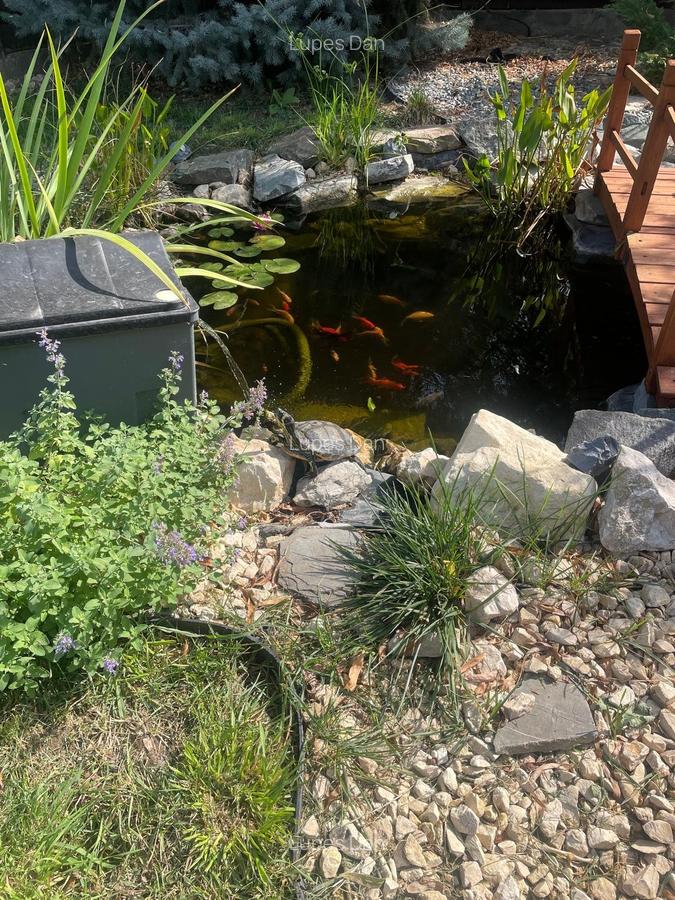 Casa moderna in Balotesti, 4 cam, 3 bai, curte superba 730 mp, 0% comision - 24