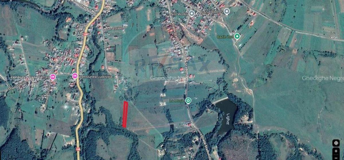 Teren intravilan de vanzare 2.444 mp - Targu Lapu? - 7