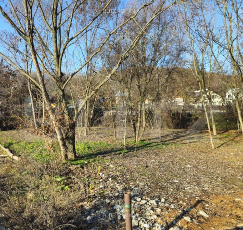 Teren intravilan 738 mp, zona Viforata, Comision 0 - 1