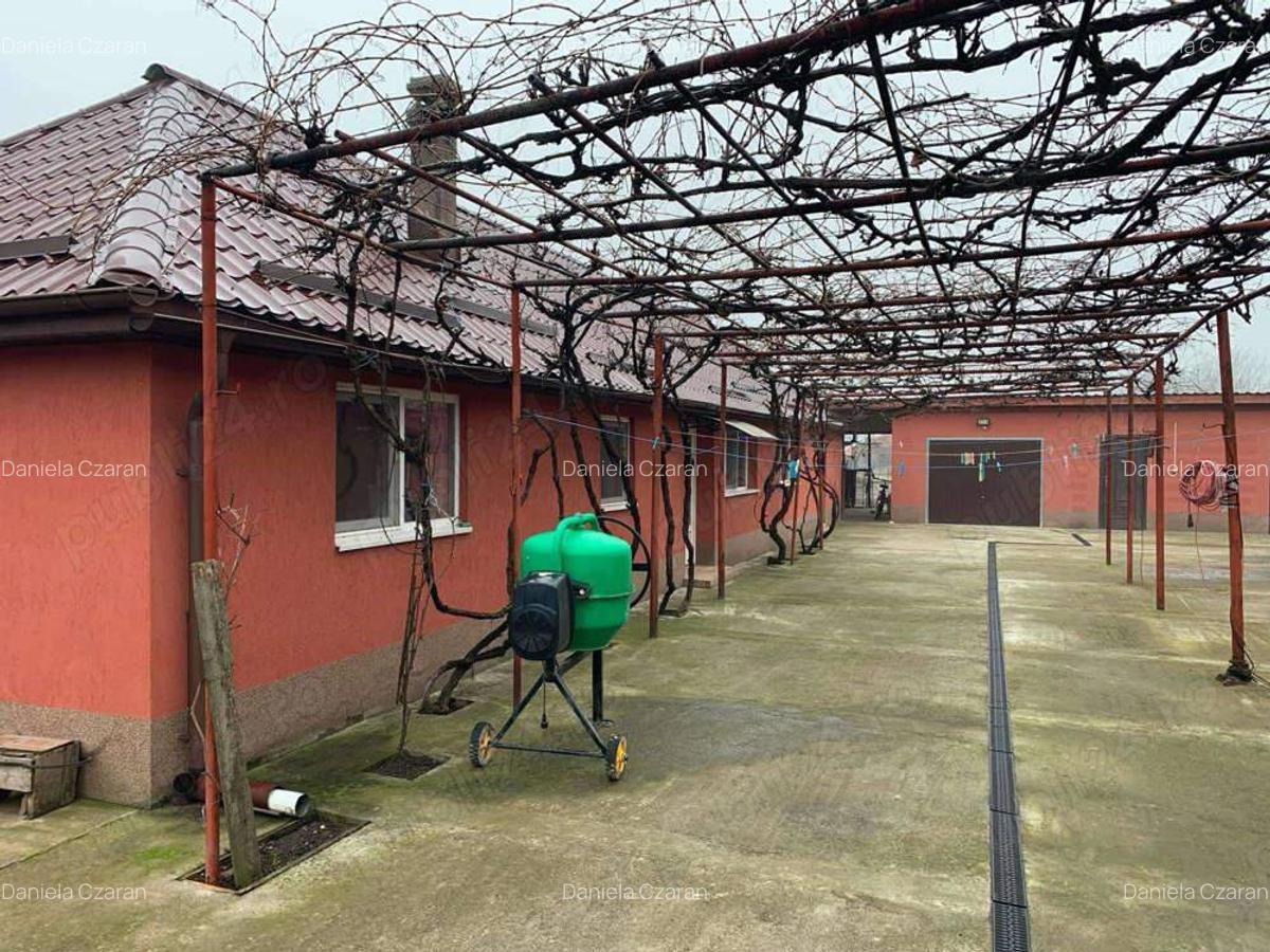 Casa de vanzare in Hodoni jud Timis - 9 Casa de vanzare in Hodoni jud Timis - 9